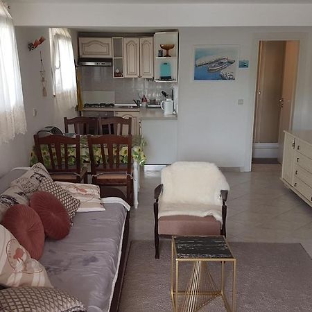 Apartment Branka Лабин Екстериор снимка